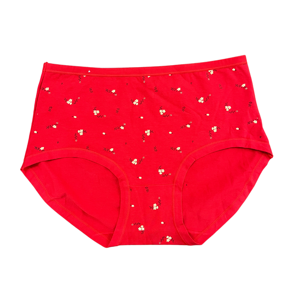 Lady Grace Intimates Plus size Hight-waist Full Panty 60025