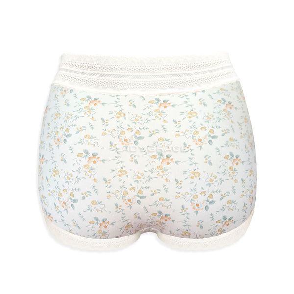 Lady Grace Intimates Plus size High-waist Full Panty 60020