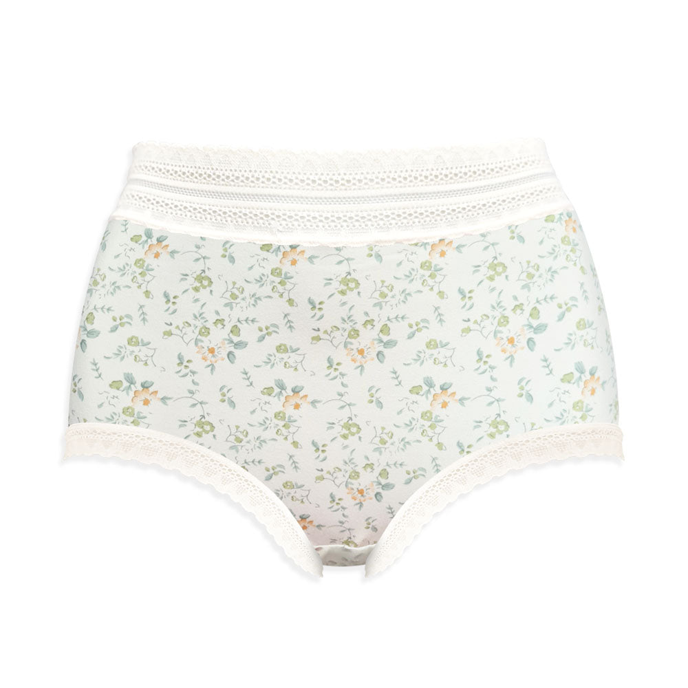 Lady Grace Intimates Plus size High-waist Full Panty 60020