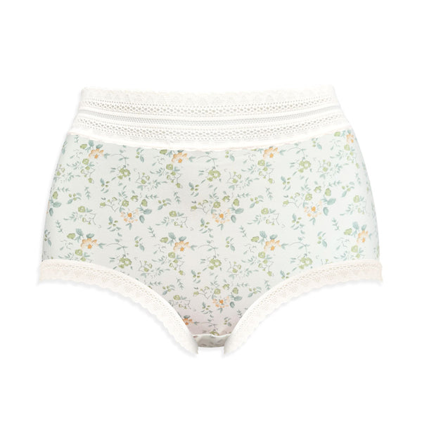 Lady Grace Intimates Plus size High-waist Full Panty 60020
