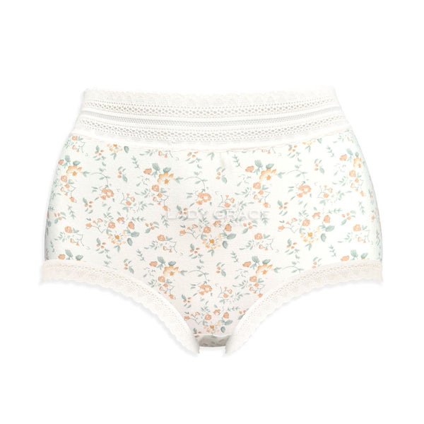 Lady Grace Intimates Plus size High-waist Full Panty 60020
