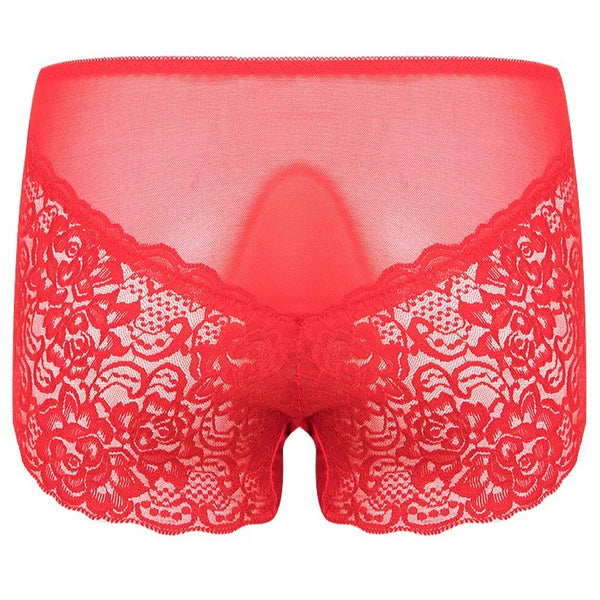 Lady Grace Boyleg Lace Panty with Mesh Panels  - 6432