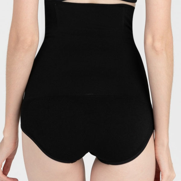 Lady Grace Intimates Seamless Panty with Tummy Control with Soft Bones - 8573