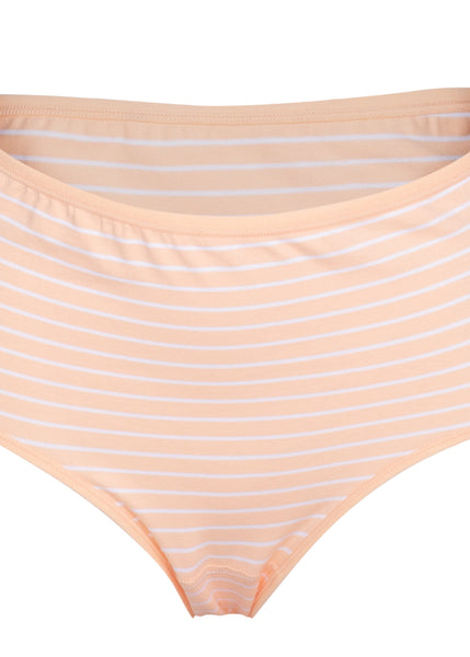 Lady Grace Intimates Stripes Full Panty - 6196