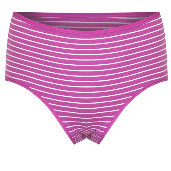 Lady Grace Intimates Stripes Full Panty - 6196